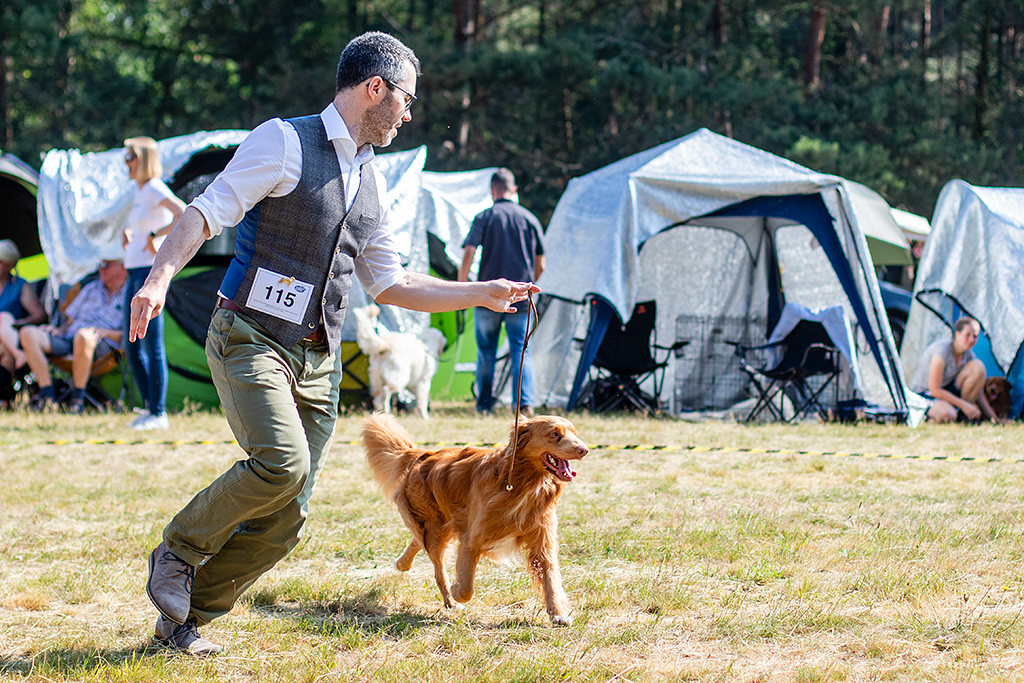 Newton gibt Gas an Stephans Seite und läuft geschwind durch den Ring