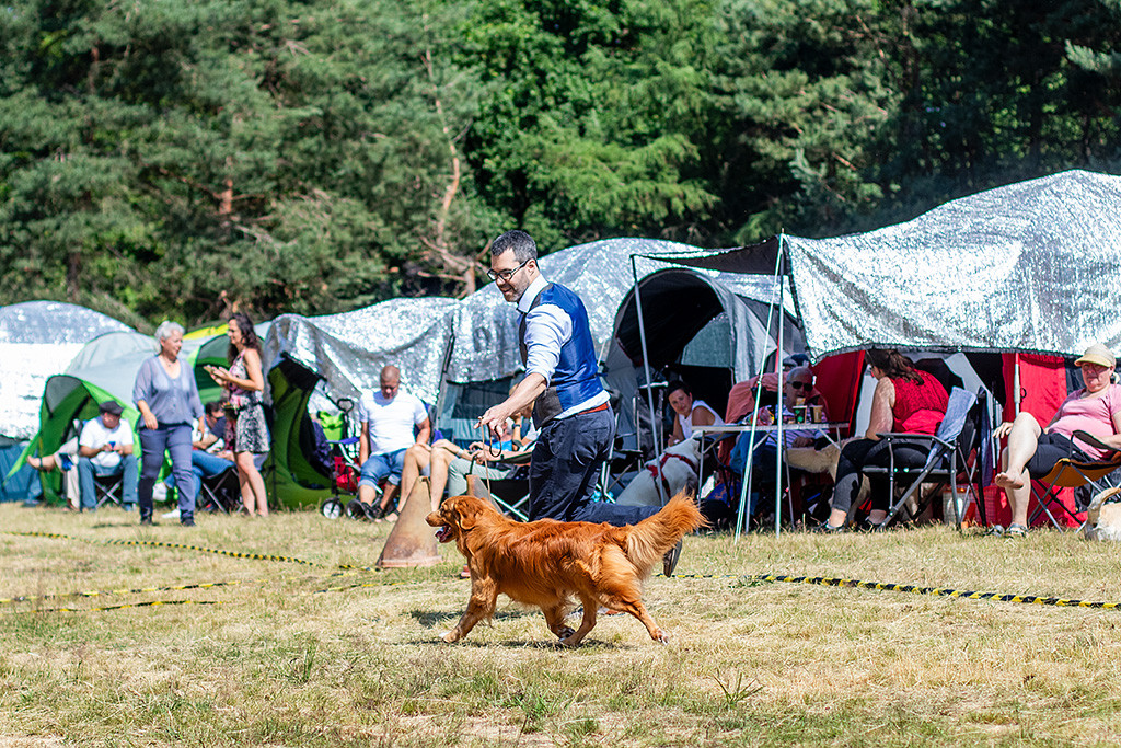 Newton läuft im perfekten Kreuzgang durch den Ring