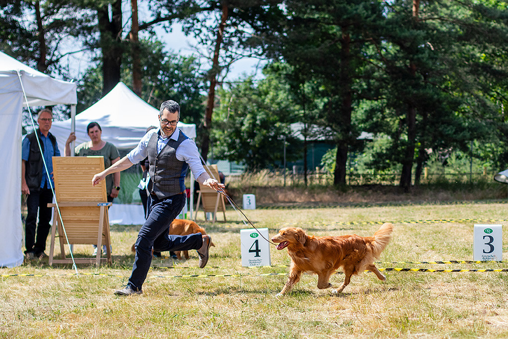 Newton fliegt an Stephans Seite durch den Ring
