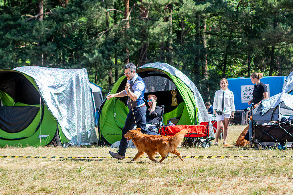 Newton läuft an Stephans Seite geschwind durch den Ring