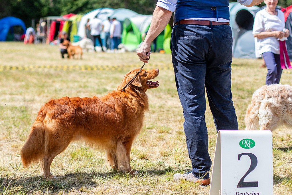 Edison steht neben Stephan im Gras