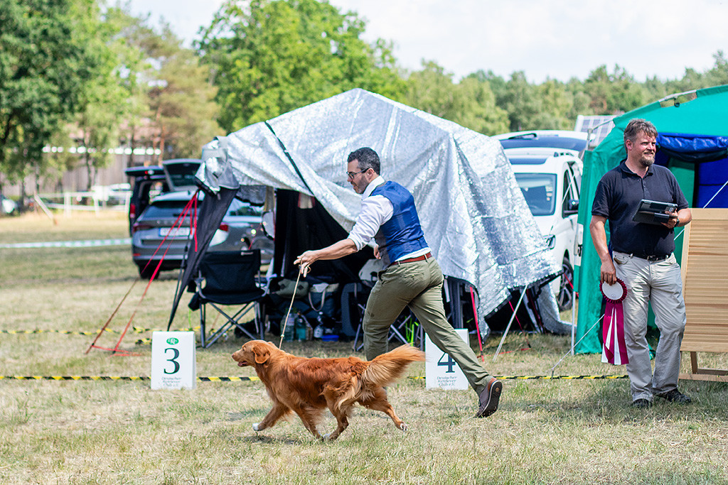 Newton fliegt im perfekten Kreuzgang durch den Ring