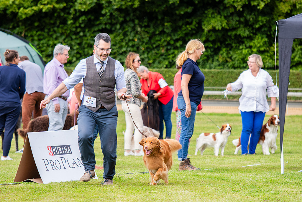 Edison läuft freudig mit voller Elan an Stephans Seite im Ehrenring