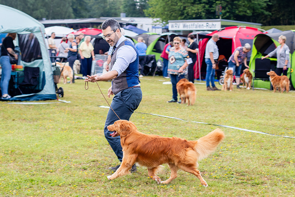 Newton läuft im perfekten Kreuzgang an Stephans Seite durch den Ring