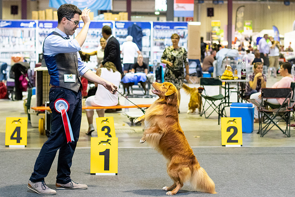 Edison steht lediglich auf den Hinterbeinen vor Stephan und lächelt ihn dabei an
