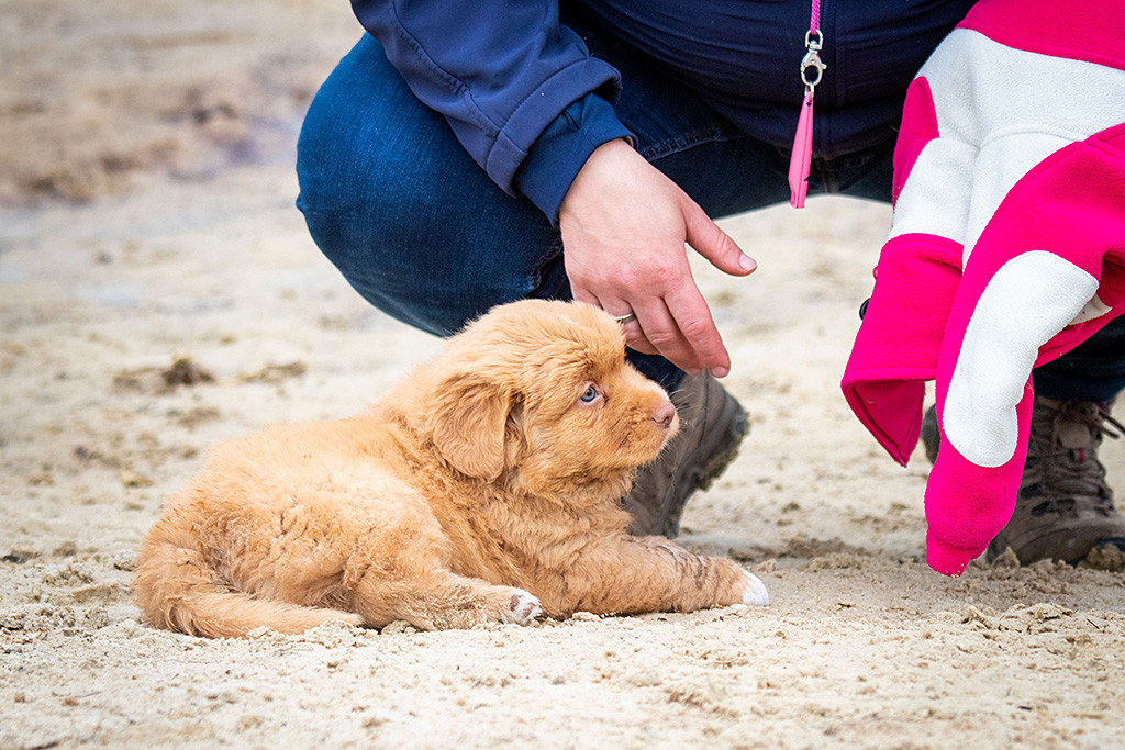 Mister Grau liegt erschöpft im Sand während Kelly sich zu ihm herunterbeugt