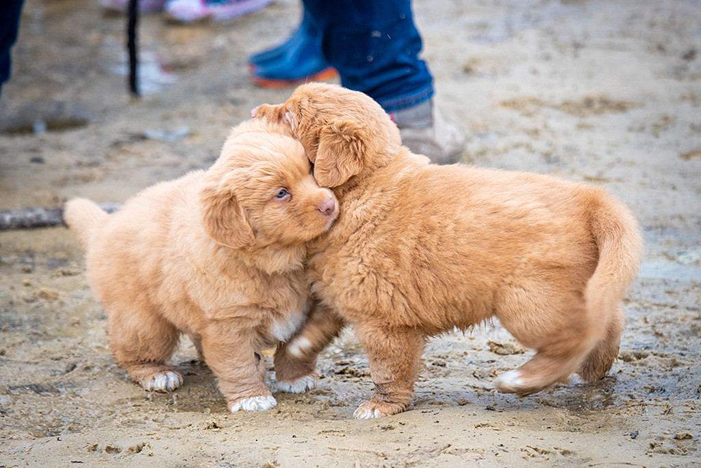 Mister Grau und Miss Pink spielen im nassen Sand