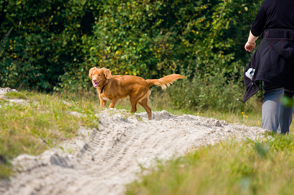 Edison jagt einer Libelle hinterher