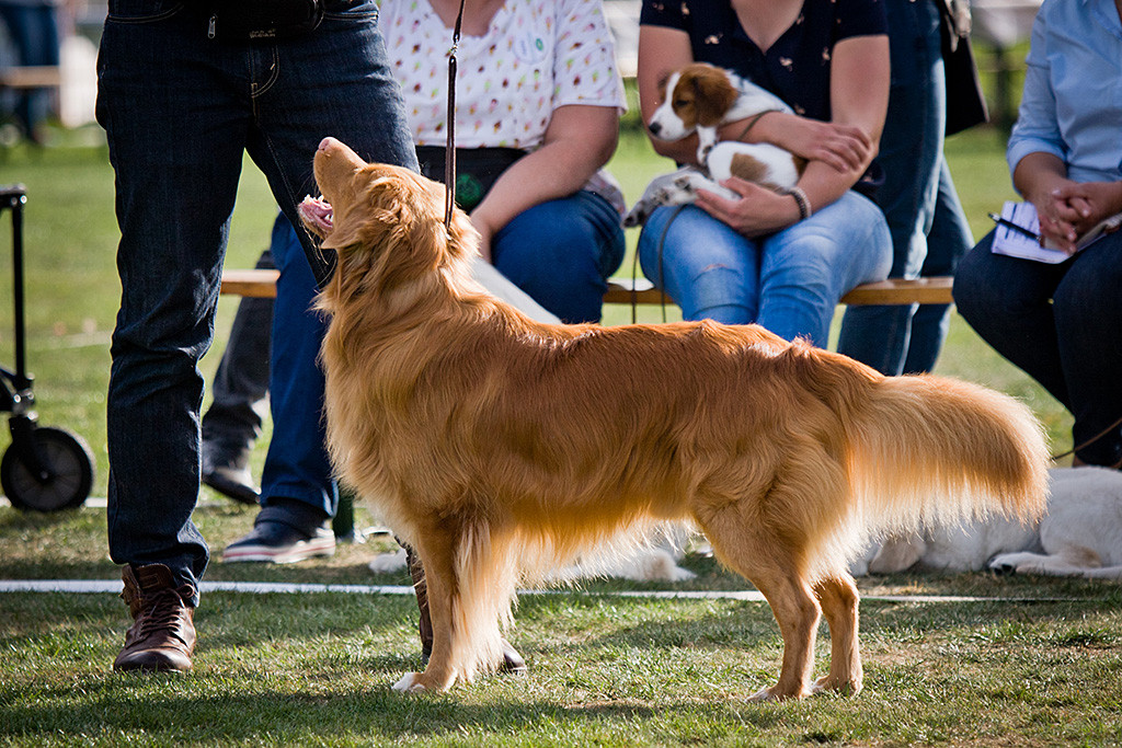 Edison schaut im Ehrenring zu Stephan hoch und lächelt dabei