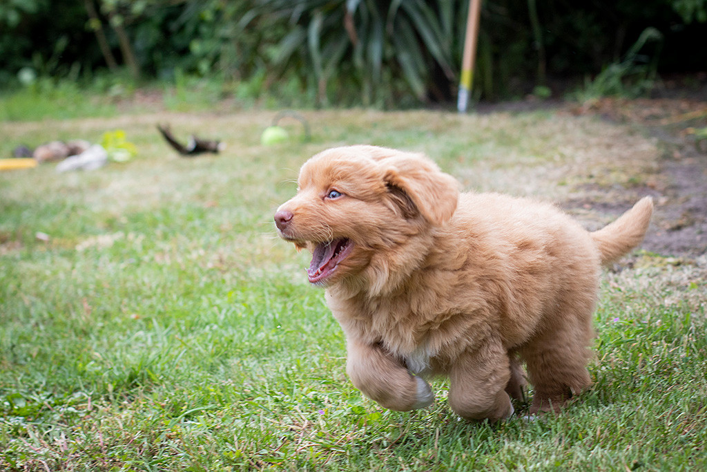 Mister Grau rennt breit lachend wie vom Blitz getroffen