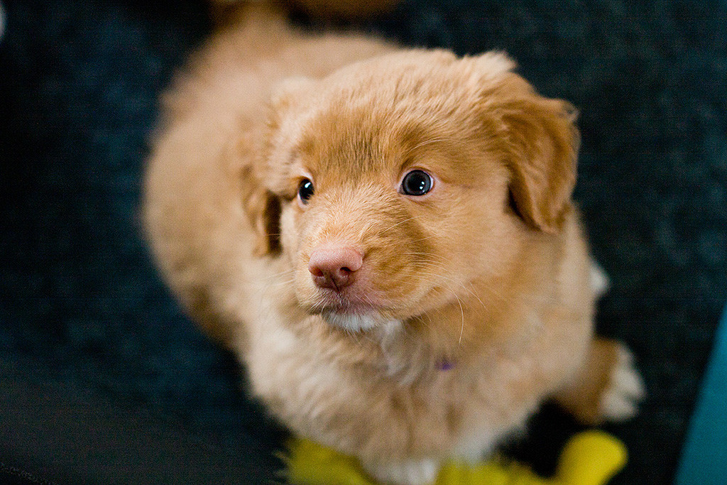 Miss Lila schaut von unten hoch an der Kamera vorbei