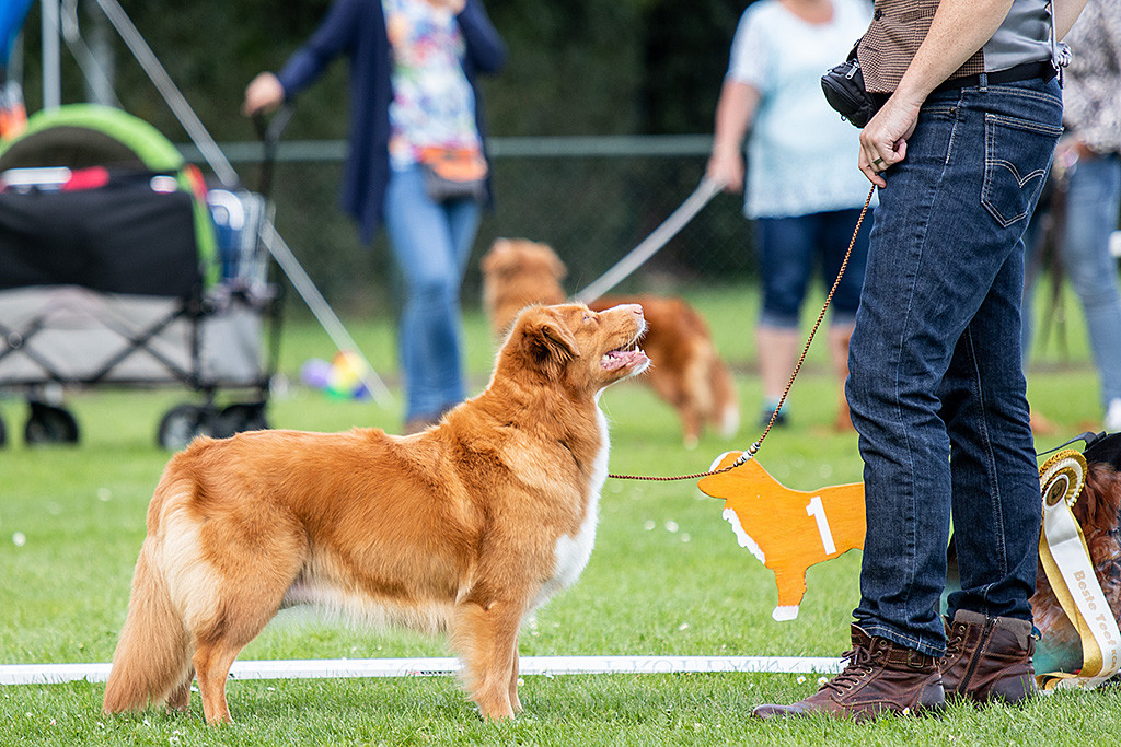 Gwenny steht vor Stephan und lächelt zu ihm hoch