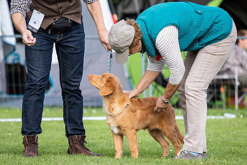 Newton wird von der Richterin abgetastet und schaut dabei hoch zu Stephan
