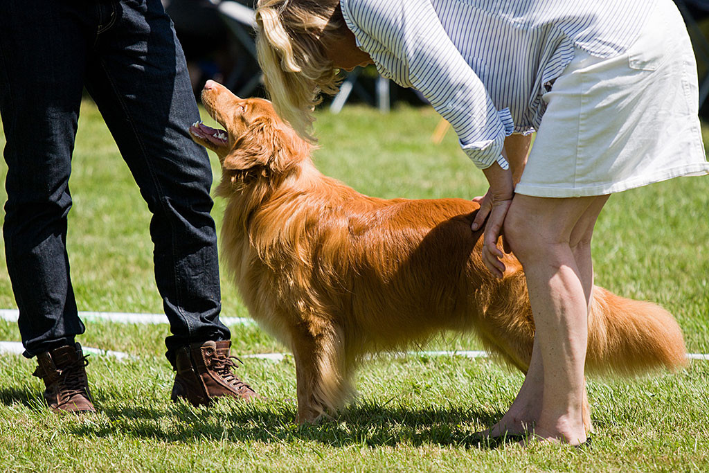 Edison wird von der Richterin abgetastet