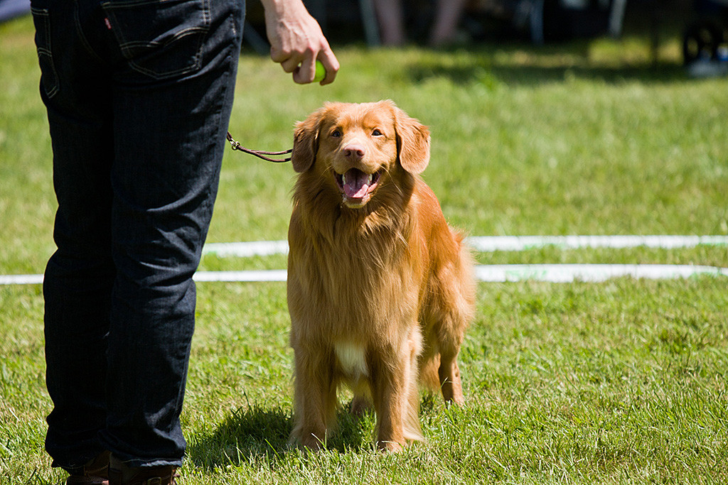 Edison steht wie eine Eins an Stephans Seite und lächelt dabei