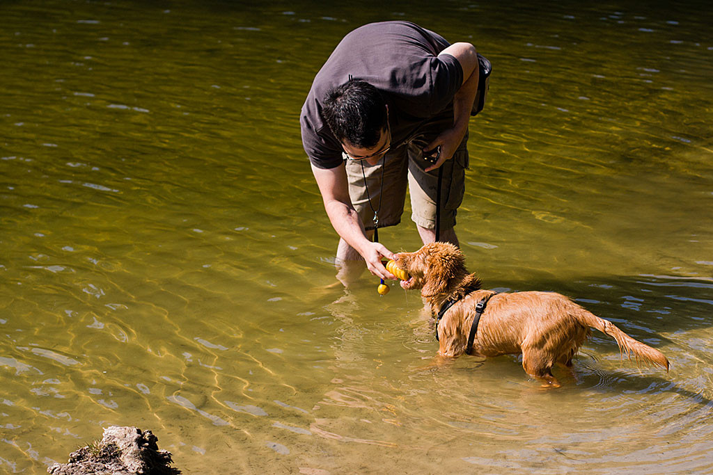 Edison lässt sich sein Spielzeug von Stephan aus dem Maul nehmen