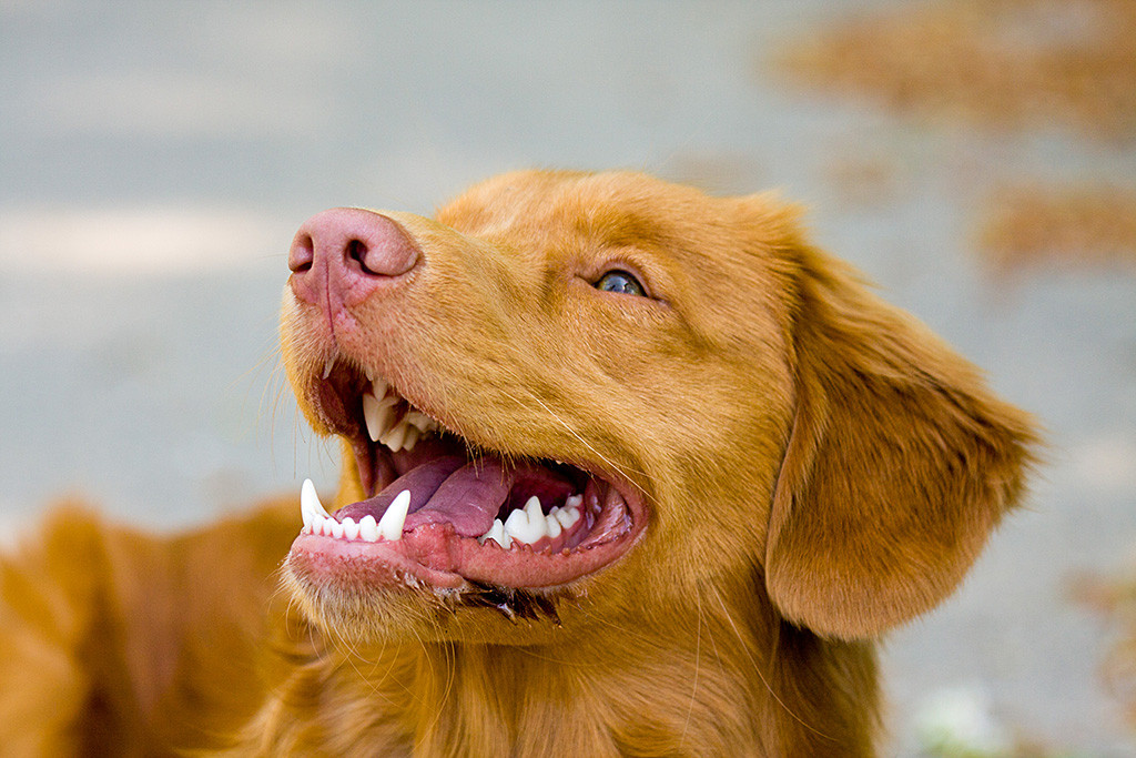 Edison lächelt seitlich an der Kamera vorbei