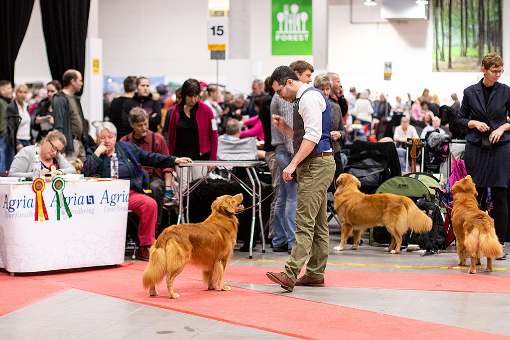 Edison steht mit Stephan vor dem Richtertisch, wo die Richterin sitzend ihren Bericht diktiert