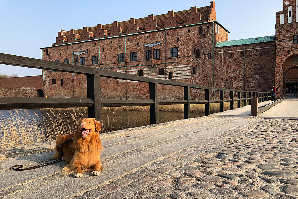 Edison liegt fett grinsend vor dem Malmöhus