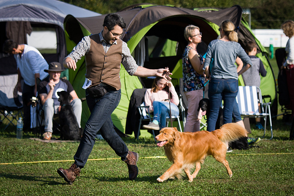 Edison läuft an Stephans Seite durch den Ring