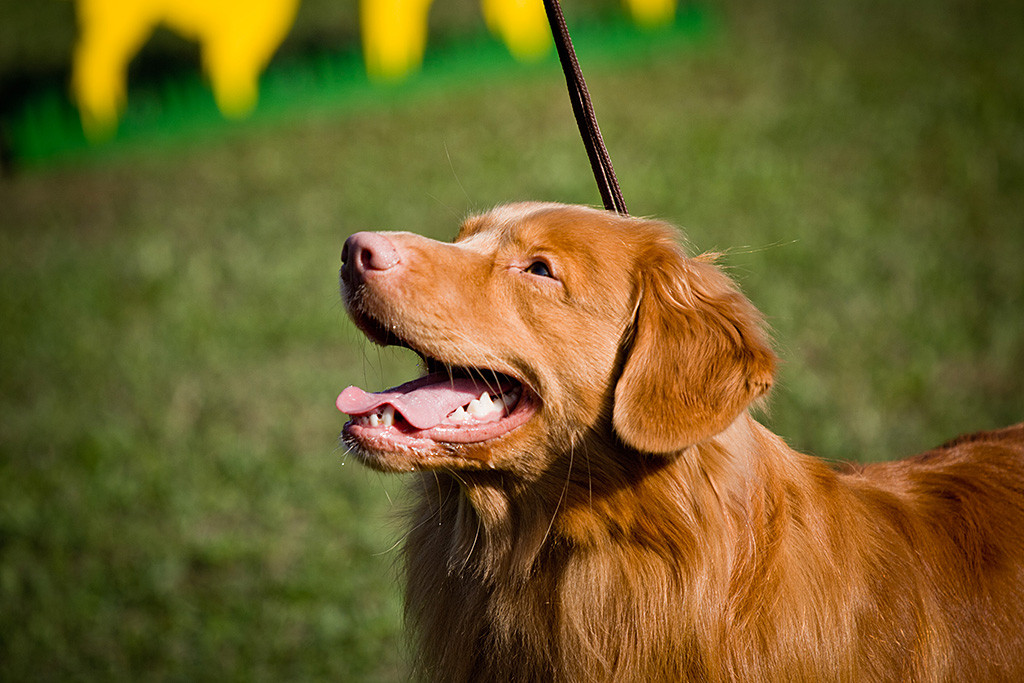 Edisons Kopf in Nahaufnahme während er übers ganze Gesicht lächelt