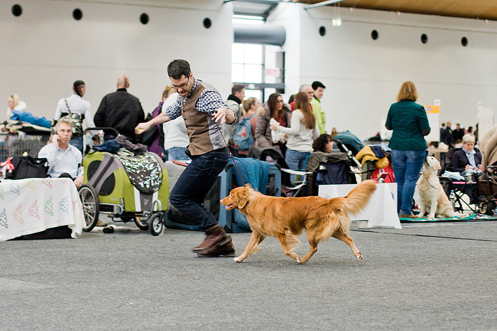 Edison fliegt förmlich an Stephans Seite durch den Ring