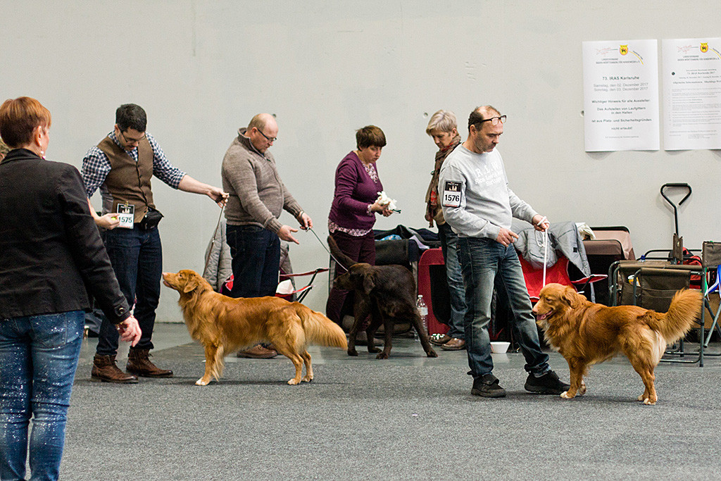 Edison steht neben »Duckinson Like The Night«, die Richterin schaut nochmal genau hin