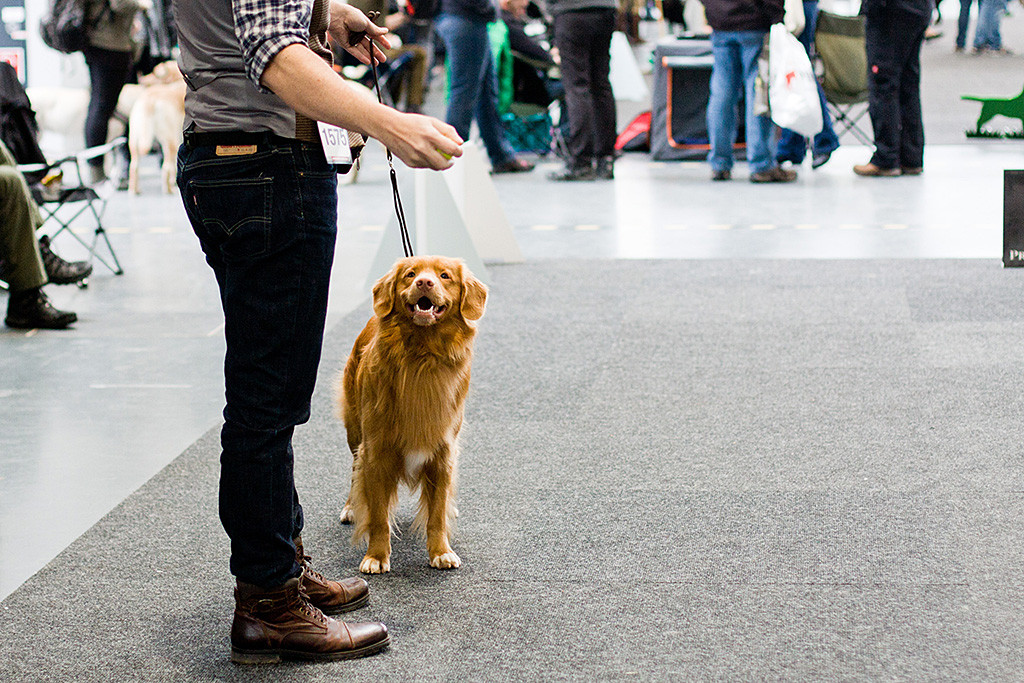 Edison steht im Ring und lächelt Stephan an