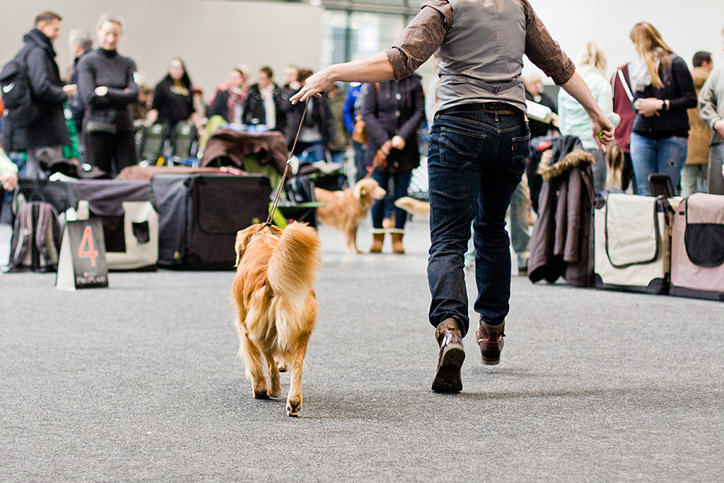 Edison wird von Stephan auf der Geraden von der Richterin weg vorgeführt