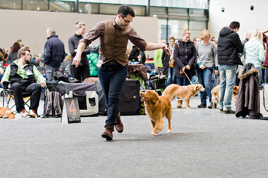 Edison läuft lächelnd geführt von Stephan auf die Richterin zu