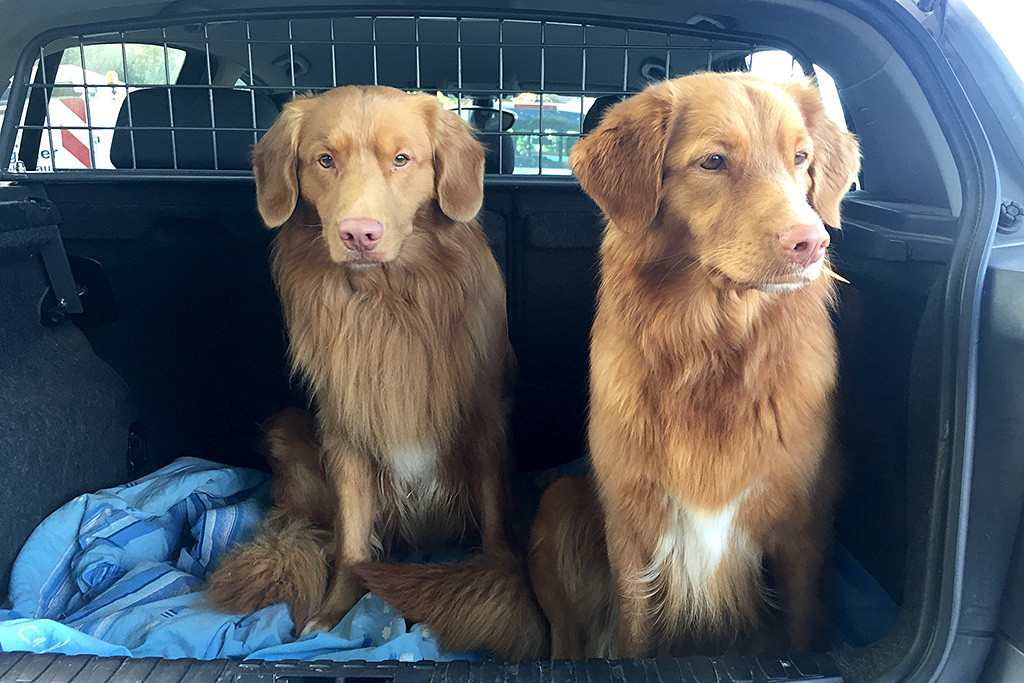 Edisons und Ivalu sitzen gemeinsam im offenen Kofferraum