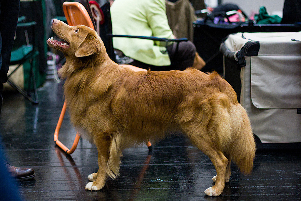 Edison steht in Mitten von Ausstellungsboxen