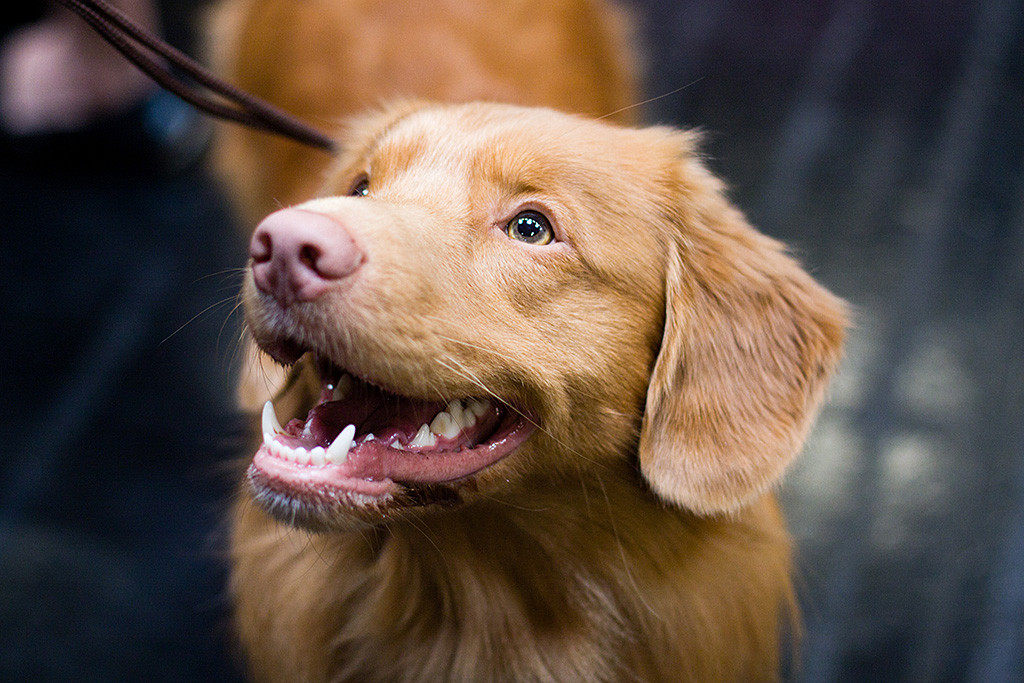 Edison lächelt in die Kamera