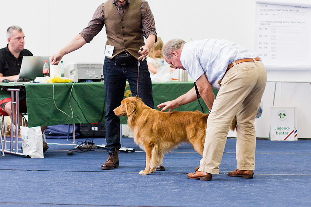 Edison wird vom Richter abgetastet