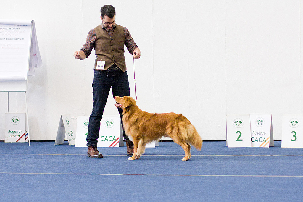 Edison nimmt mit Stephan Aufstellung im Ring