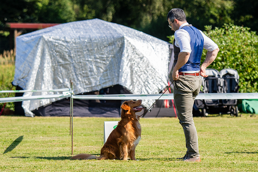 Newton sitzt lächelnd vor Stephan, der ihm Schatten spendet