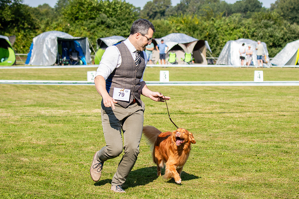 Edison läuft freudestrahlend an Stephans Seite durch den Ring