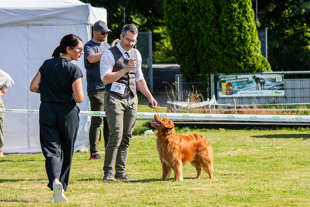 Edison schaut aufmerksam hoch zu Stephan, der ihm ein Zeichen gibt, dass es gleich losgeht