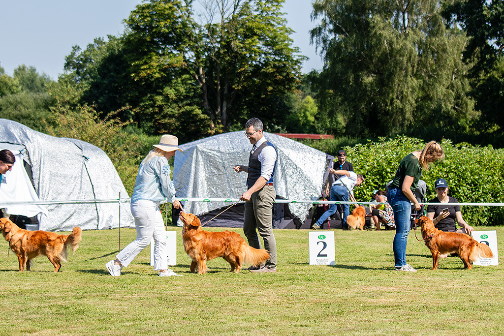 Newton geht mit der Nase zur Hand der Richterin, die an ihm vorbeiläuft