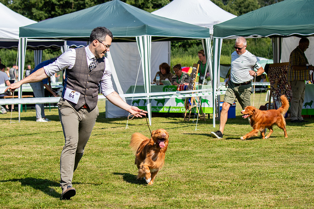 Newton läuft freudig an Stephans Seite durch den Ring, dahinter der Gewinner der Offenen Klasse