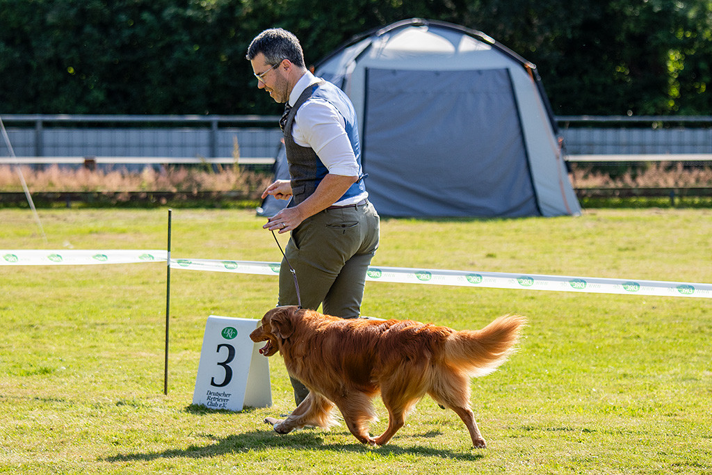 Edison läuft im perfekten Kreuzgang an Stephans Seite durch den Ehrenring