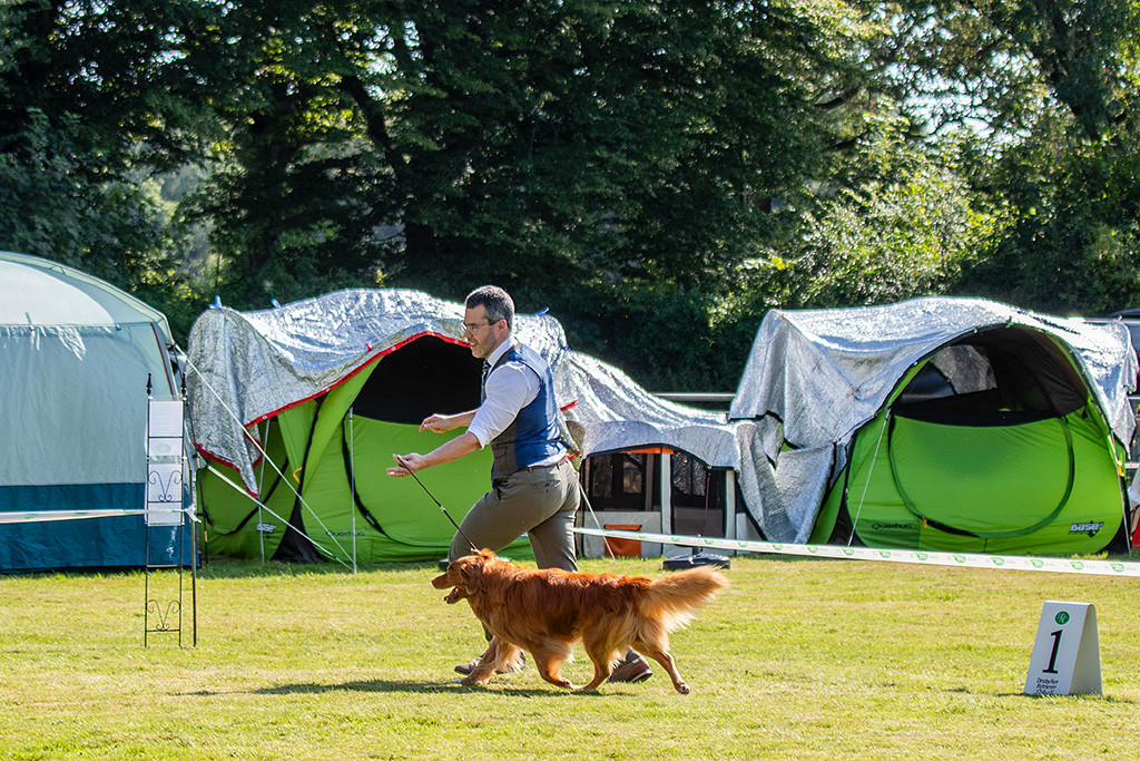 Edison läuft im perfekten Kreuzgang an Stephans Seite durch den Ehrenring