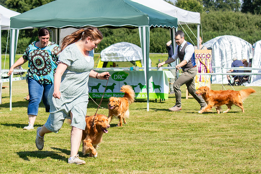 Edison läuft zusammen mit Ann-Kathrin durch den Ring, dahinter der Junghund und Newton mit Stephan