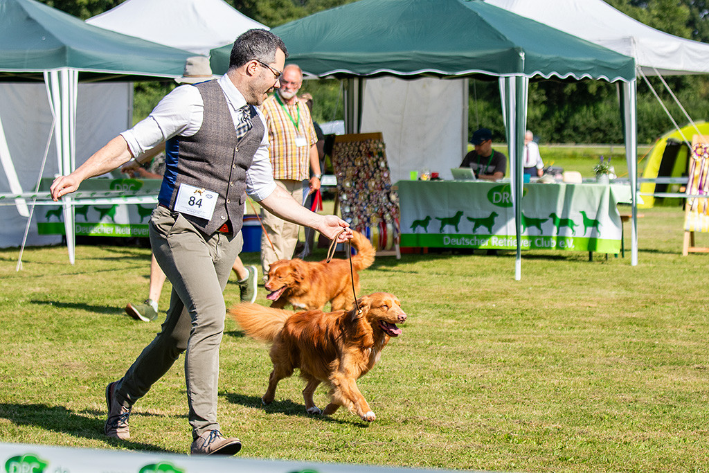 Newton läuft freudig im Kreuzgang an Stephans Seite durch den Ring, dahinter der zweite Championrüde