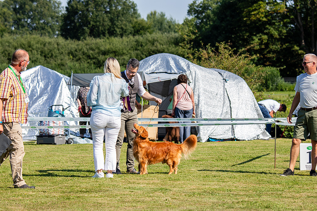 Newton schaut freudig hoch zu Stephan, der die Schleife für den Tagestitel von der Richterin entgegennimmt