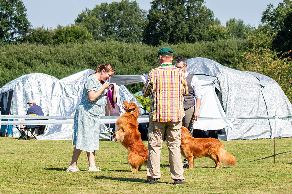 Edison steht lediglich auf den Hinterbeinen vor Ann-Kathrin und lächelt sie an, Newton steht daneben