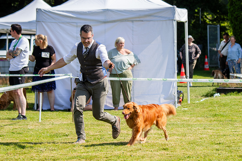 Edison läuft im Kreuzgang an Stephans Seite durch den Ehrenring
