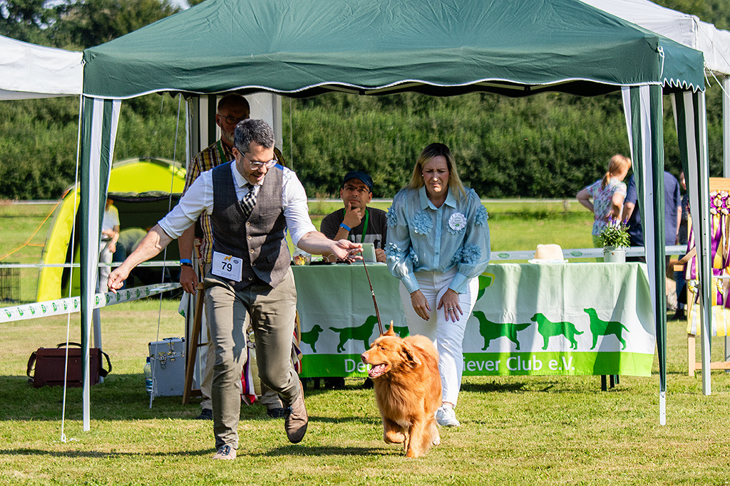 Edison läuft auf der Geraden von der Richterin weg, die sich von hinten sein Gangwerk anschaut