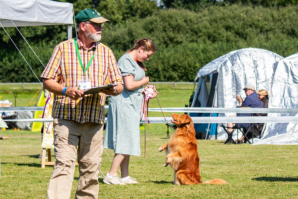 Edison macht Männchen vor Ann-Kathrin und himmelt sie dabei an