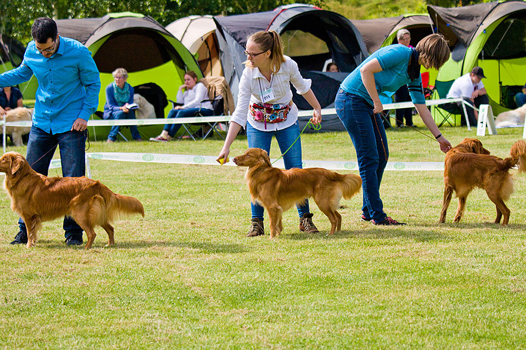 Edison, Nanaimo Cassin’s Synnco und Nanaimo Casin’s Fiery Norell reihen sich auf